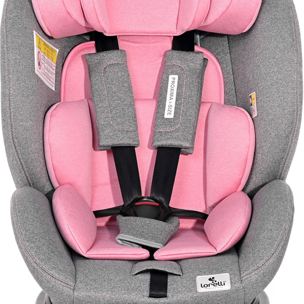 Lorelli Καθισματάκι Αυτοκινήτου Proxima i-Size 0-25 kg με Isofix Pink Grey