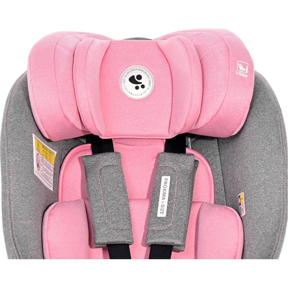 Lorelli Καθισματάκι Αυτοκινήτου Proxima i-Size 0-25 kg με Isofix Pink Grey