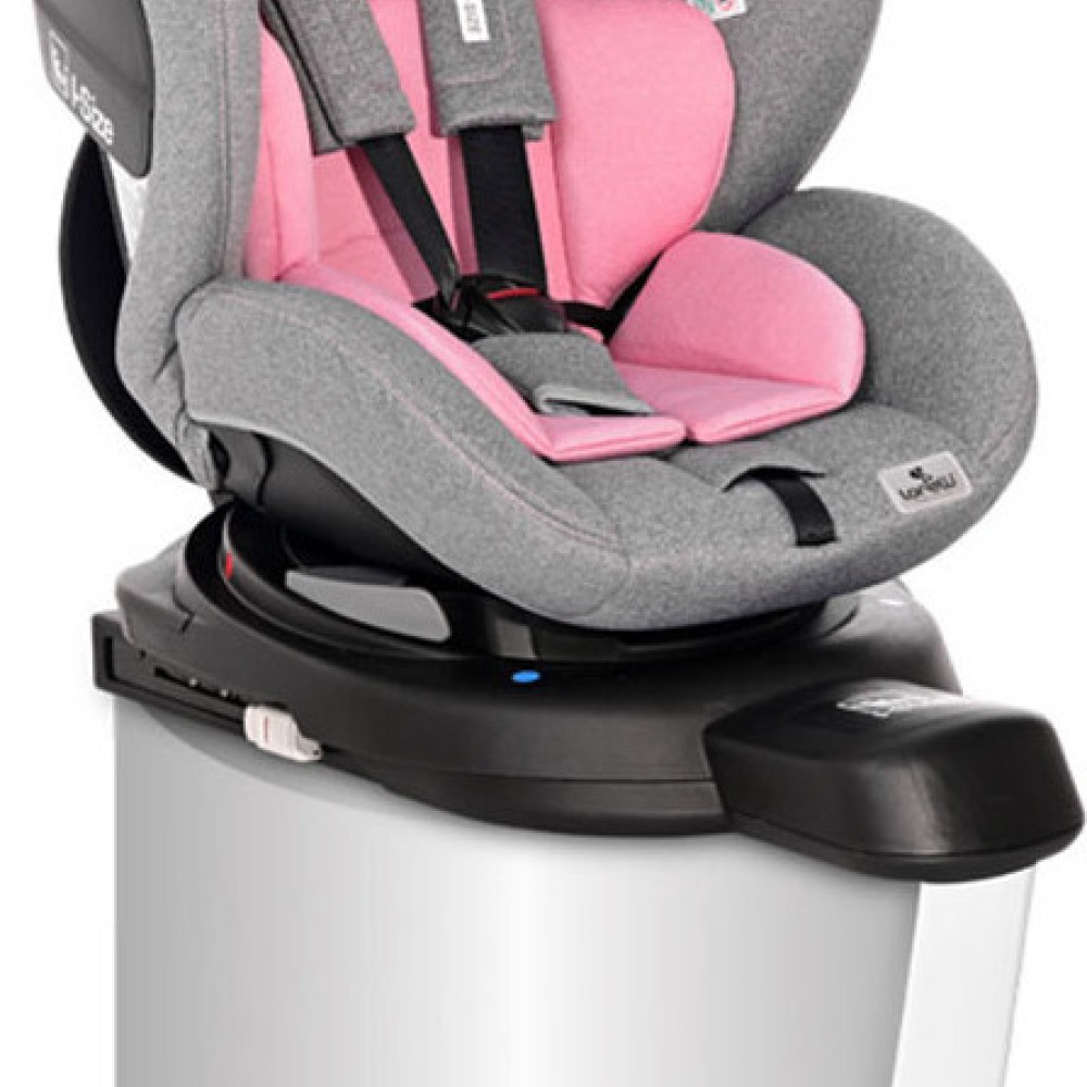 Lorelli Καθισματάκι Αυτοκινήτου Proxima i-Size 0-25 kg με Isofix Pink Grey